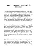 CANXI VÀ PHOSPHO TRONG THỨC ĂN THỦY SẢN docx