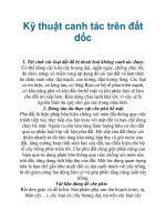 Kỹ thuật canh tác trên đất dốc doc