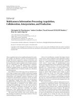 Báo cáo hóa học: 