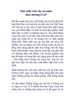 Sản xuất trái cây an toàn theo hướng GAP pot