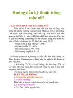 Hướng dẫn kỹ thuật trồng mộc nhĩ docx