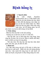 Bệnh hồng lỵ pot