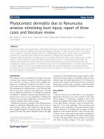 Báo cáo hóa học: 