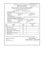 MẪU TỜ KHAI THUẾ THU NHẬP DOANH NGHIỆP TẠM TÍNH (Áp dụng đối với thu nhập từ chênh lệch giá bán dầu thô) pptx