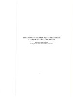 tổng công ty cổ phần đầu tư phát triển xây dựng và các công ty con