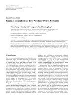 Báo cáo hóa học: 