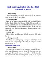 Bệnh xuất huyết phổi ở ba ba- Bệnh viêm loét ở ba ba pot