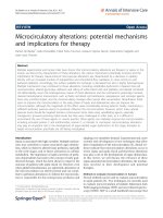 Báo cáo hóa học: 