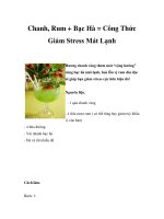 Chanh, Rum + Bạc Hà = Công Thức Giảm Stress Mát Lạnh pot