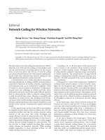 Báo cáo hóa học: 