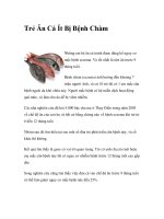 Trẻ Ăn Cá Ít Bị Bệnh Chàm pptx