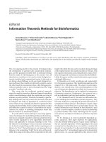 Báo cáo hóa học: 