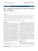 Báo cáo hóa học: 