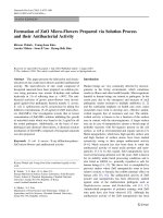 Báo cáo hóa học: 