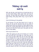 Những vật nuôi mới lạ doc