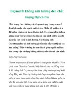 Baymet® không ảnh hưởng đến chất lượng thịt cá tra pptx