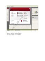 Hướng dẫn tạo chữ kí bằng Flash tiếng Việt potx