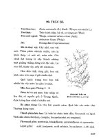 101 cây thuốc với sức khỏe sinh sản phụ nữ part 9 potx