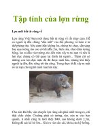 Tập tính của lợn rừng docx