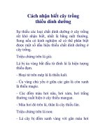 Cách nhận biết cây trồng thiếu dinh dưỡng pdf