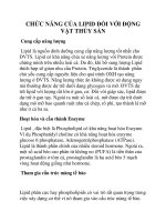 CHỨC NĂNG CỦA LIPID ĐỐI VỚI ĐỘNG VẬT THỦY SẢN potx