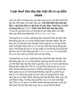 Luật thuế tiêu thụ đặc biệt đã có sự điều chỉnh pdf