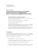 Báo cáo hóa học: 