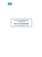 CÔNG TY CỔ PHẦN ĐƯỜNG QUẢNG NGÃI Báo cáo tài chính hợp nhất Cho kỳ kế toán 6 tháng đầu năm 2012