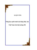 đề tài năng lực cạnh tranh của hàng thủy sản việt nam tại thị trường mỹ