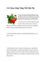 Cà Chua Giúp Tăng Tiết Sữa Mẹ pot