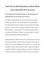 Nguyên tắc xác định hướng hàng cây, mật độ, khoảng cách và phương thức bố trí cây ăn quả potx