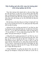 Một số giống ngô nếp triển vọng cho hướng phát triển nông nghiệp cận đô thị pot