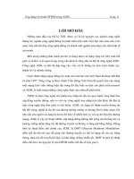 ứng dụng kỹ thuật ofdm trong adsl