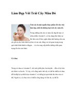 Làm Đẹp Với Trái Cây Màu Đỏ pot