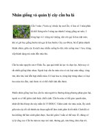 Nhân giống và quản lý cây cần ba lá pdf