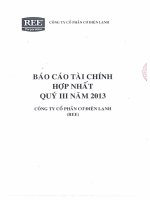 Báo cáo tài chính hợp nhất quý III năm 2013