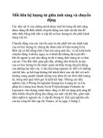 Mối liên hệ lượng tử giữa ánh sáng và chuyển động pdf