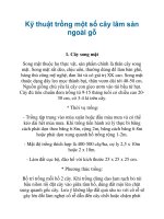 Kỹ thuật trồng một số cây lâm sản ngoài gỗ pptx