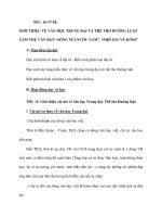 GIỚI THIỆU VỀ VĂN HỌC TRUNG ĐẠI VÀ THỂ THƠ ĐƯỜNG LUẬT CẢM THỤ VĂN BẢN “SÔNG NÚI NƯỚC NAM”, “PHÒ GIÁ VỀ KINH” pot