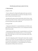 Cấp Giấy phép tạm thời mang cờ quốc tịch Việt Nam pot