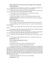 Thủ tục Đăng ký nuôi con nuôi có yếu tố nước ngoài ở khu vực biên giới ppt