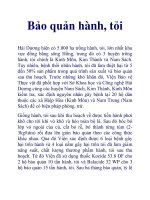 Bảo quản hành, tỏi potx