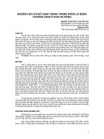 Nghiên cứu khoa học 