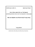 Dự án Giảm nghèo Khu vực Tây Nguyên tại Đắk Nông, Đắk Lắk, Gia Lai, Kon Tum, Quảng Nam, và Quảng Ngãi Báo cáo Nghiên cứu Khả thi cấp Trung ương