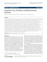 Muñoz Escobar et al. Energy, Sustainability and Society 2011, 1:4 ppt