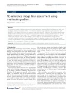 Báo cáo hóa học: 