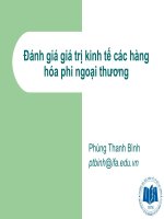Đánh giá giá trị kinh tế các hàng hóa phi ngoại thương doc