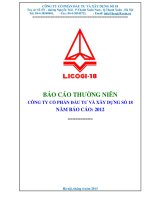 BÁO cáo THƯỜNG NIÊN CÔNG TY cổ PHẦN đầu tư và xây DỰNG số 18 năm báo cáo 2012