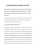 Cách thụ phấn cho mãng cầu xiêm? pdf
