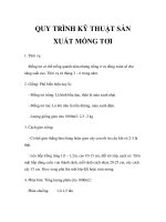 QUY TRÌNH KỸ THUẬT SẢN XUẤT MỒNG TƠI docx